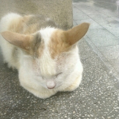 知行