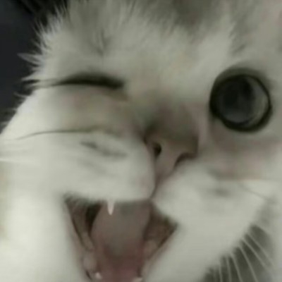 向日葵