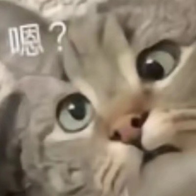 哎 嘿嘿