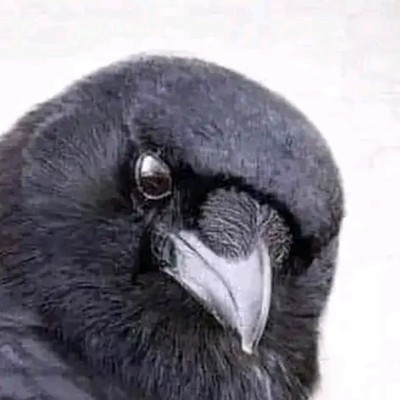 倒霉的