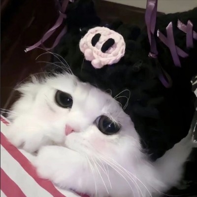 家在次元