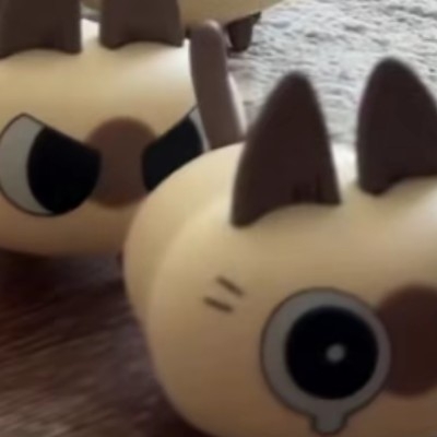 水蜜桃太好吃了吧！qx5