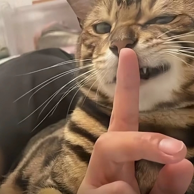 李