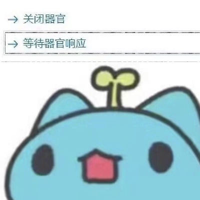 炸毛的鸡腿儿rmi676