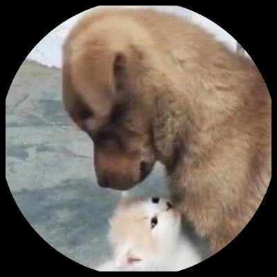 明尼阿波利兹