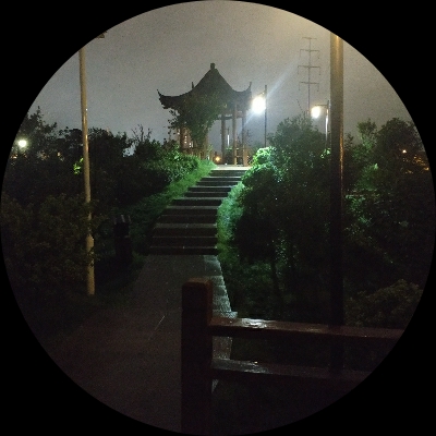 黑の白