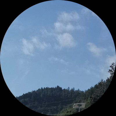 智