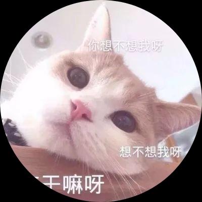 啟枫