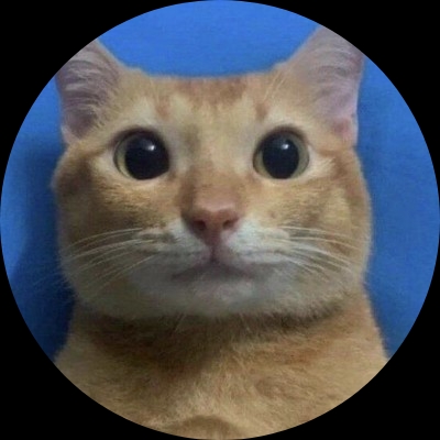 流泪特猫头
