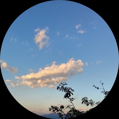 独自仰望星空