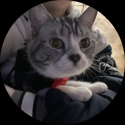 小猫咪橘子