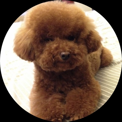 大熊熊