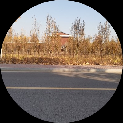 不如做个梦境给我