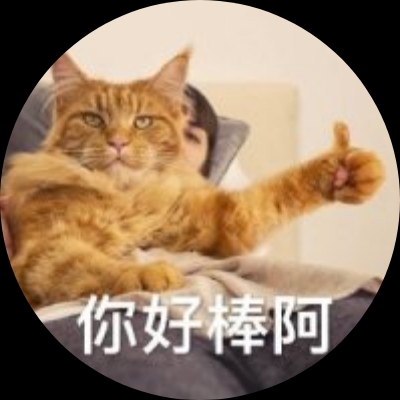 极品小猫
