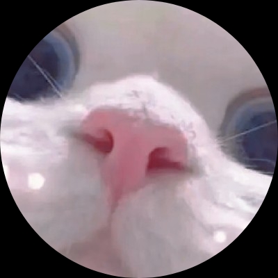 可达鸭