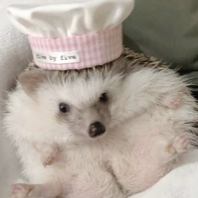 三千海岸线曲折