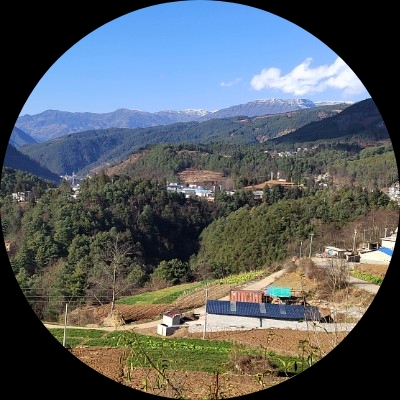 宇中意