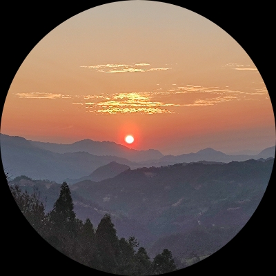 暴君