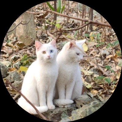 截图能留住什么～