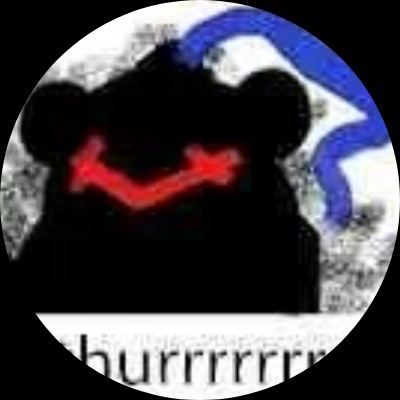 WS008