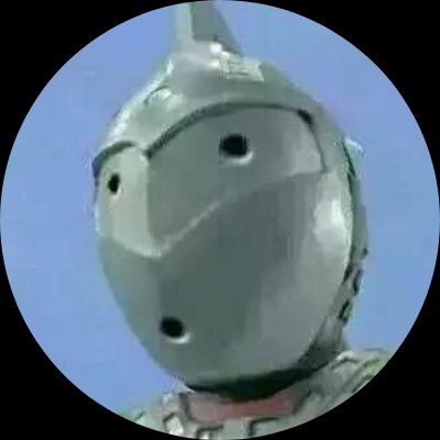 她来时星河璀璨