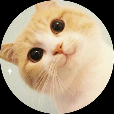 银赞的猫奴