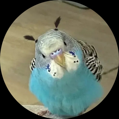 常大想