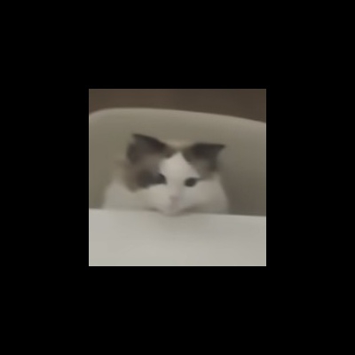渢澂
