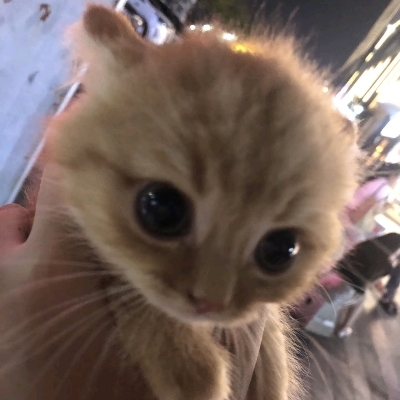 奥利给给