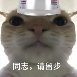 一只国航320