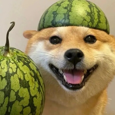 复读机