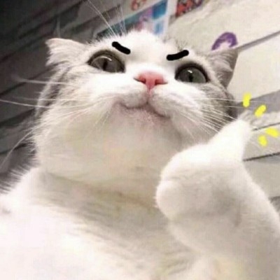 风起