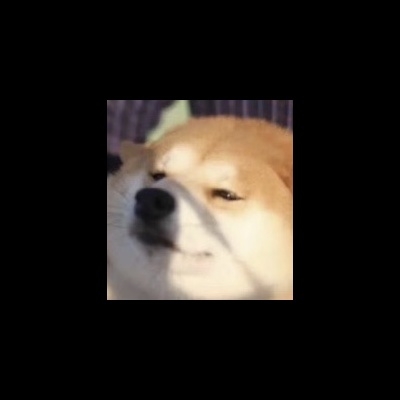 摸鱼