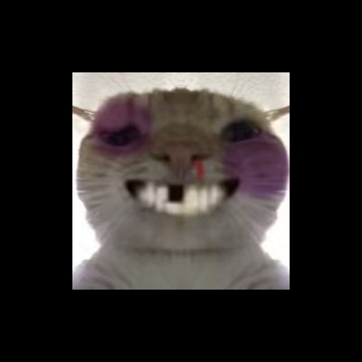 YYDS