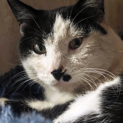 爱玩碧蓝的小宇