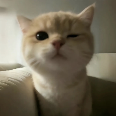 qwq