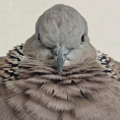 老八秘制小汉堡