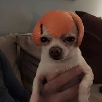 秋中落叶
