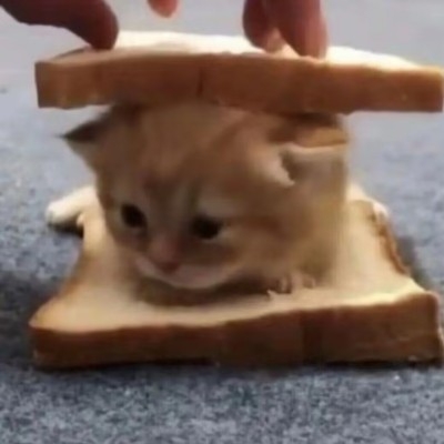 無意味アワー