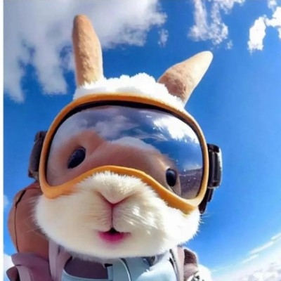 灰色编码