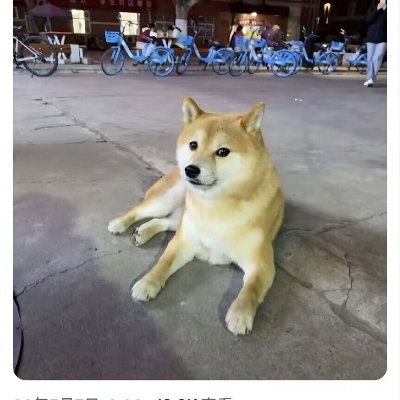 yewfox