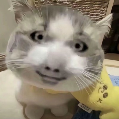 用户