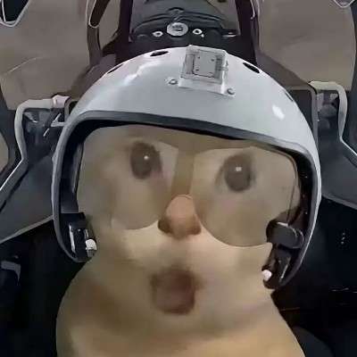 君临天下
