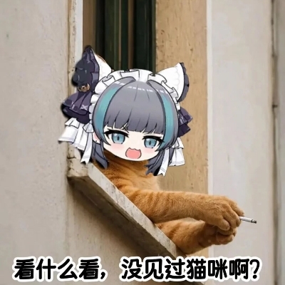 一条猫