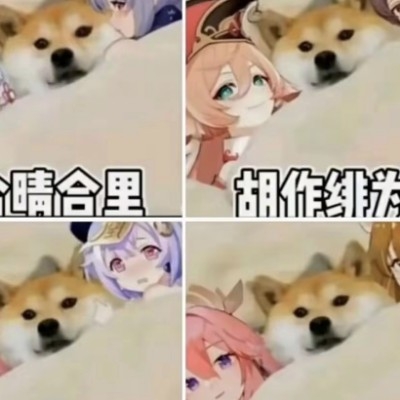 大师疯狂敲键盘krz6