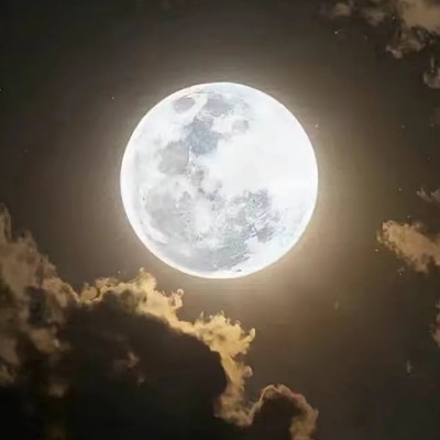 梓霂