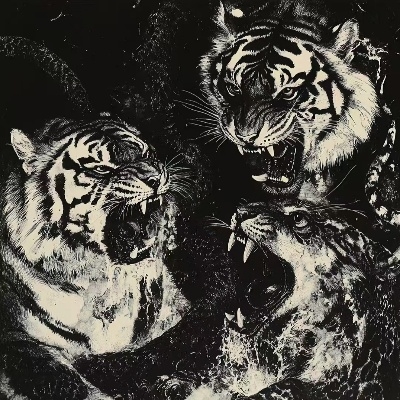 没有坏心思的快递员qe2