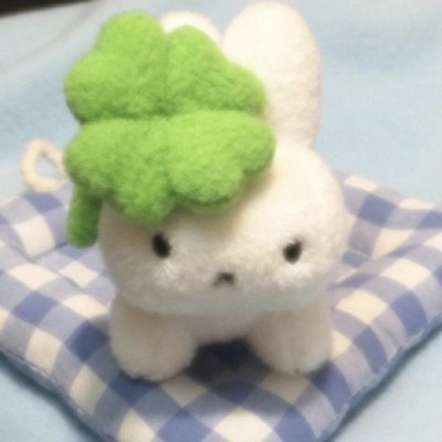 不是笨蛋´•ﻌ•