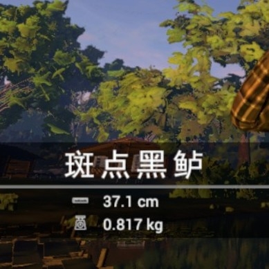 最多八个字符