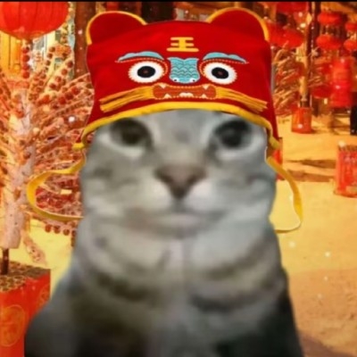 死了三十年的鸮